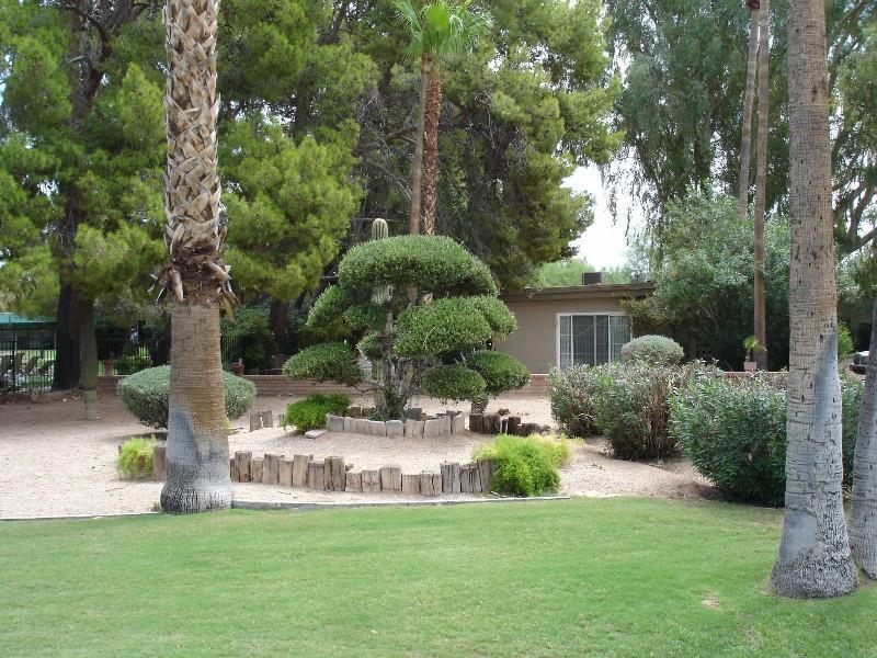 סקוטסדייל Smoketree Resort And Bungalows מראה חיצוני תמונה