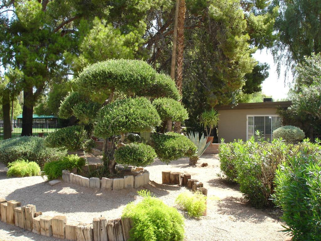 סקוטסדייל Smoketree Resort And Bungalows מראה חיצוני תמונה